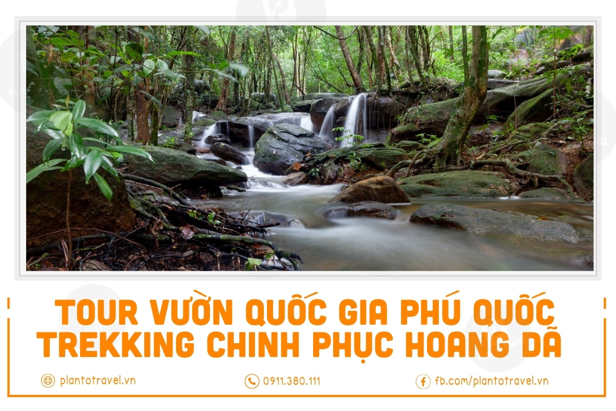 Chi tiết Tour Trekking Vườn Quốc Gia - Tham quan rừng giống- Nhà bảo tàng động thực vật